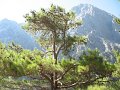 IMG_2145 - Copy